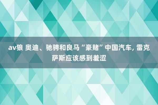 av狼 奥迪、驰骋和良马“豪赌”中国汽车， 雷克萨斯应该感到羞涩