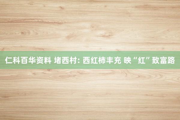 仁科百华资料 堵西村: 西红柿丰充 映“红”致富路