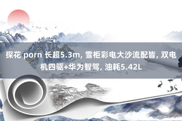 探花 porn 长超5.3m， 雪柜彩电大沙流配皆， 双电机四驱+华为智驾， 油耗5.42L