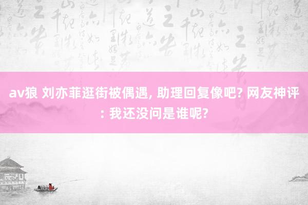 av狼 刘亦菲逛街被偶遇， 助理回复像吧? 网友神评: 我还没问是谁呢?